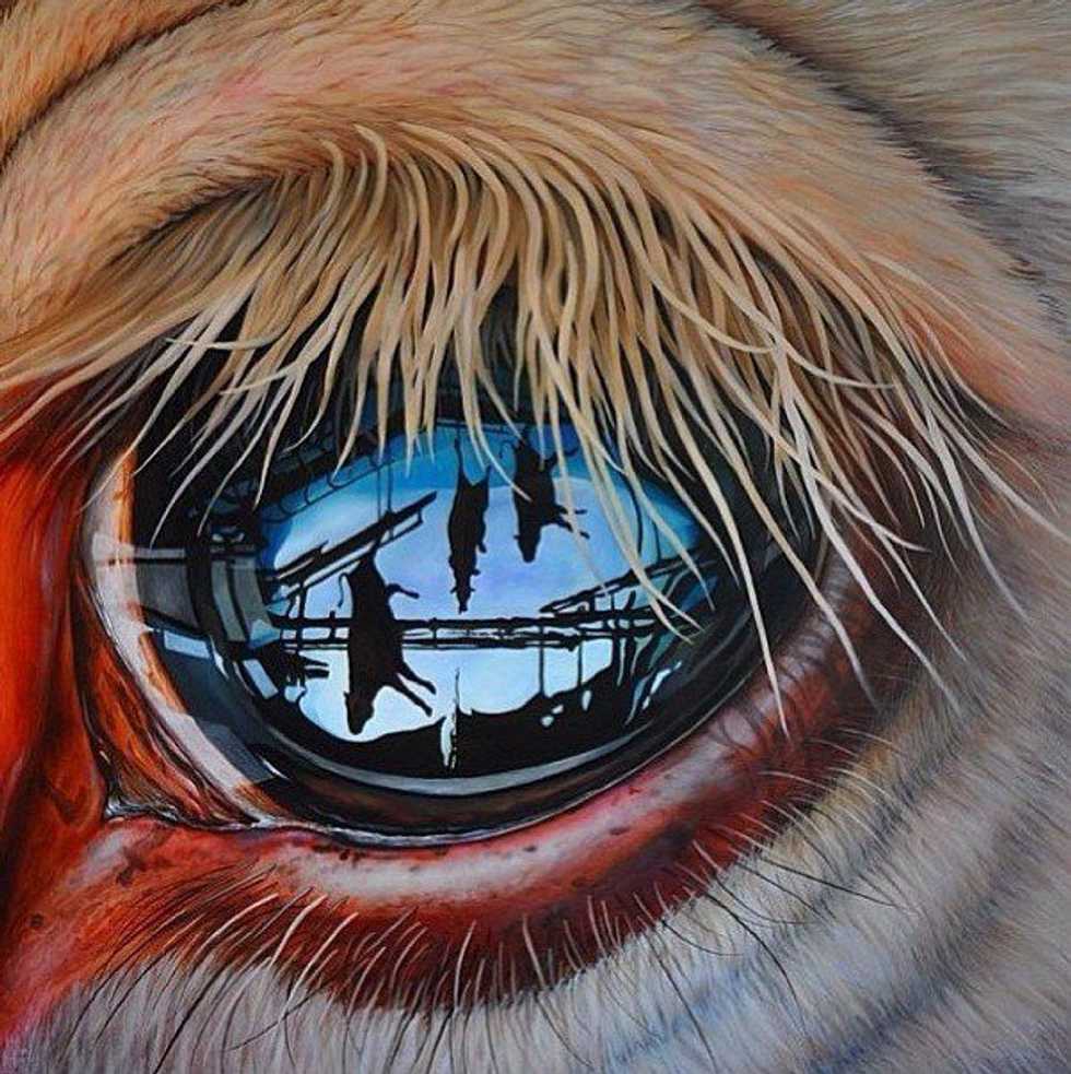 The Problem With Factory Farming