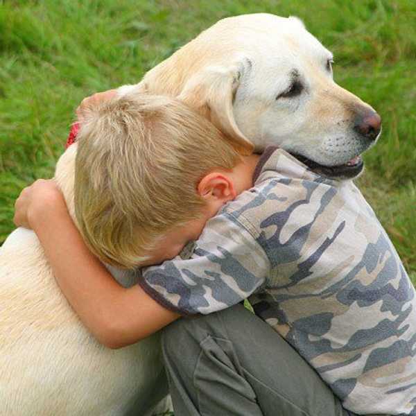 5 Reasons Why Your Dog Is The Best Friend You'll Ever Have