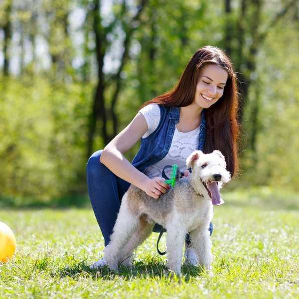 9 Reasons Your Dog is the Best Friend You'll Ever Have