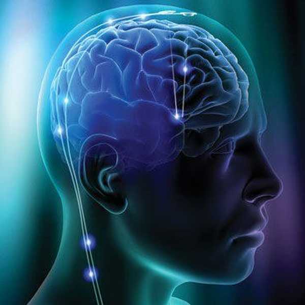 Human Consciousness And Evolution