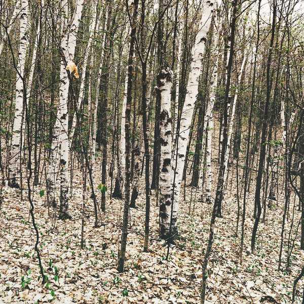 Read This Article Before Your Next Babson Hookup