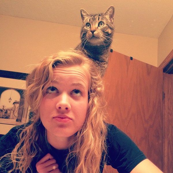 Why Family Pets Belong At College