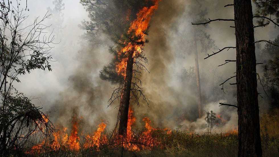 Uncontrollable Forest Fires in Washington State Call for State Of Emergency