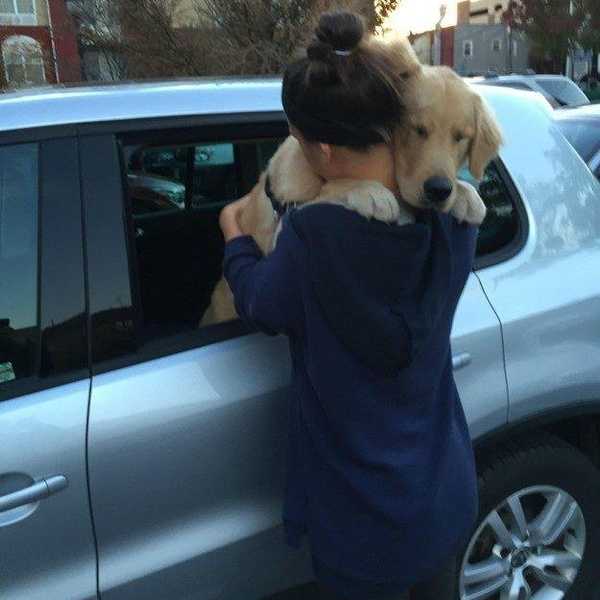 Why Your Dog Is Your Best Friend