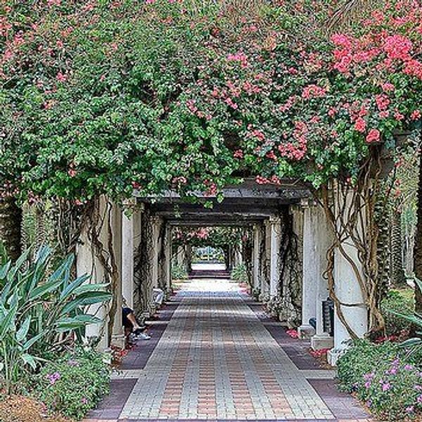 What College Has Taught Me