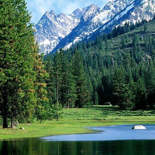 A Wilderness Letter