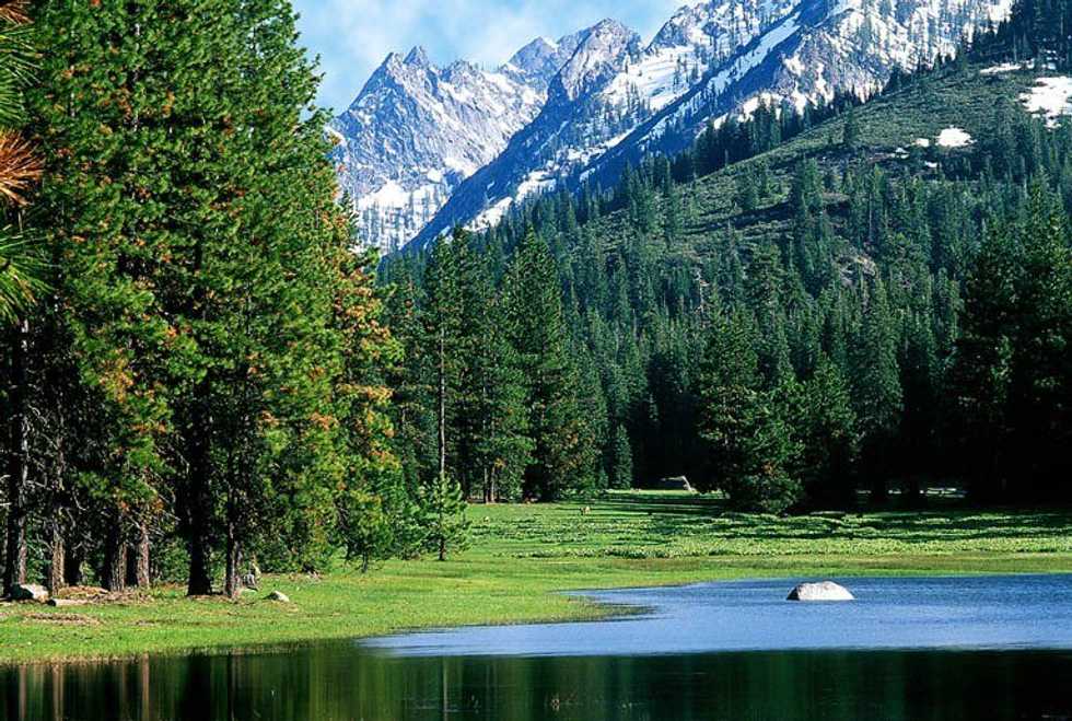 A Wilderness Letter