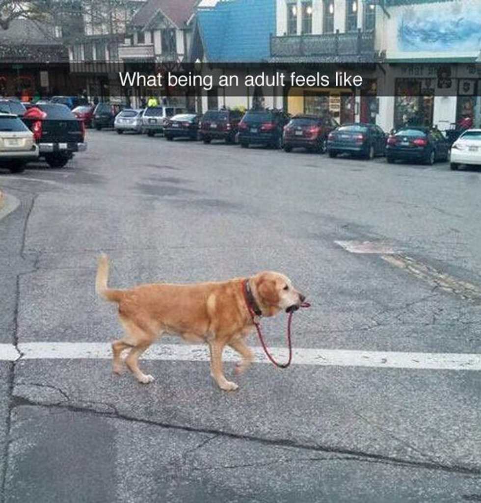Learning How To Adult