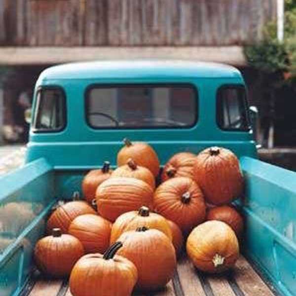 Why Fall Is The Best Season Of All