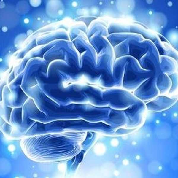 5 Facts About The Brain Everyone Should Know