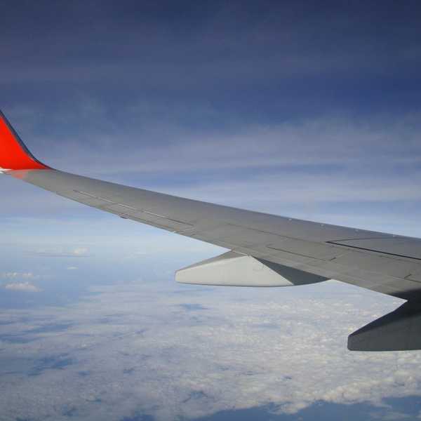 A Beginner's Guide To Surviving Long-Distance Friendships