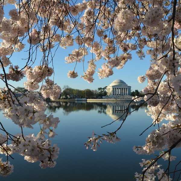 Things To Do In DC Before Winter Comes