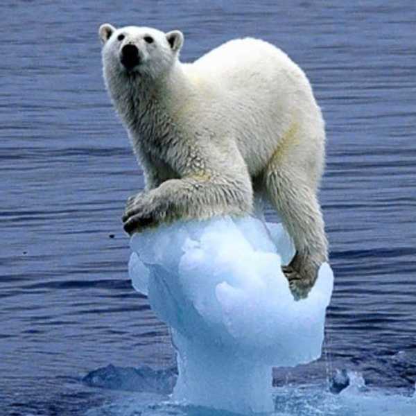 The Ongoing Destruction Of Climate Change