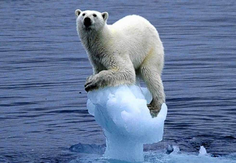 The Ongoing Destruction Of Climate Change