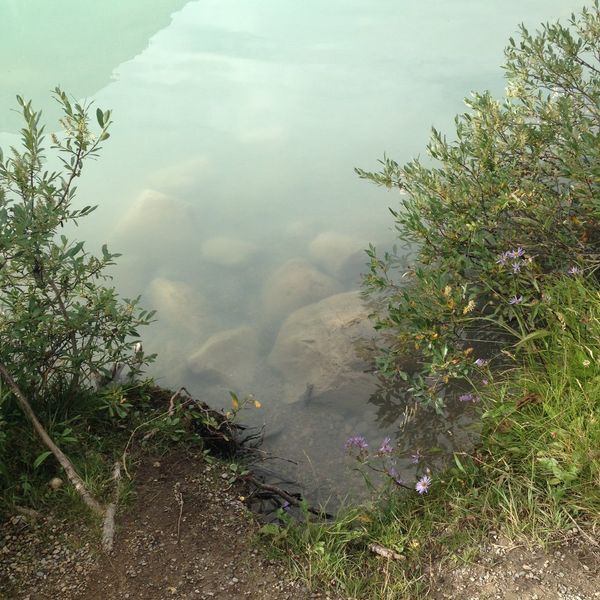 5 Tips For Surviving A Family Vacation