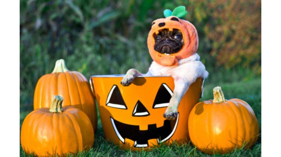 15 Reasons To Love Autumn