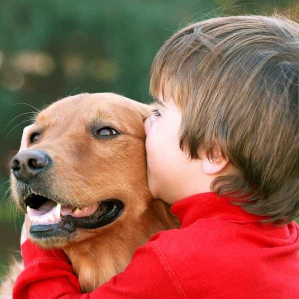 11 Moments When You Realize Your Dog Is Actually Your Sibling