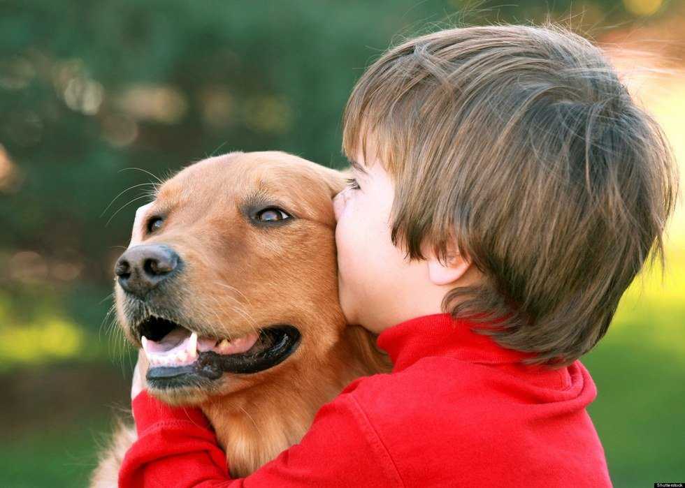 11 Moments When You Realize Your Dog Is Actually Your Sibling