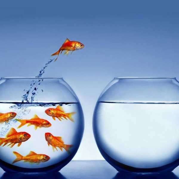 The Four Ways That College Challenges Introverts and How I Overcame Them