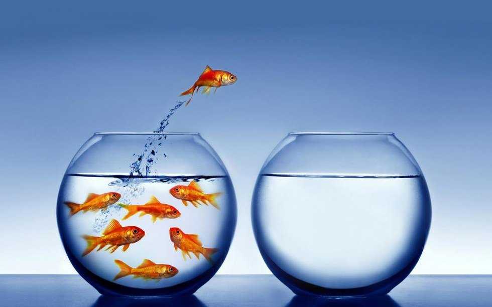The Four Ways That College Challenges Introverts and How I Overcame Them
