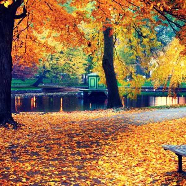 The 10 Best Things About Fall