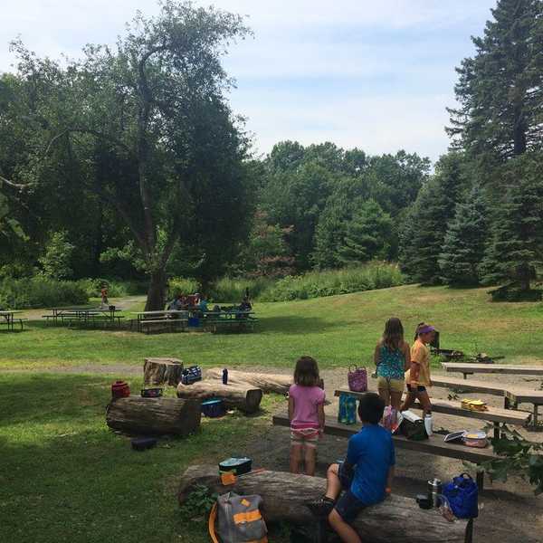 Packing the Ultimate Lunch