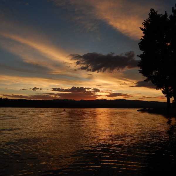 For The Love Of Montana