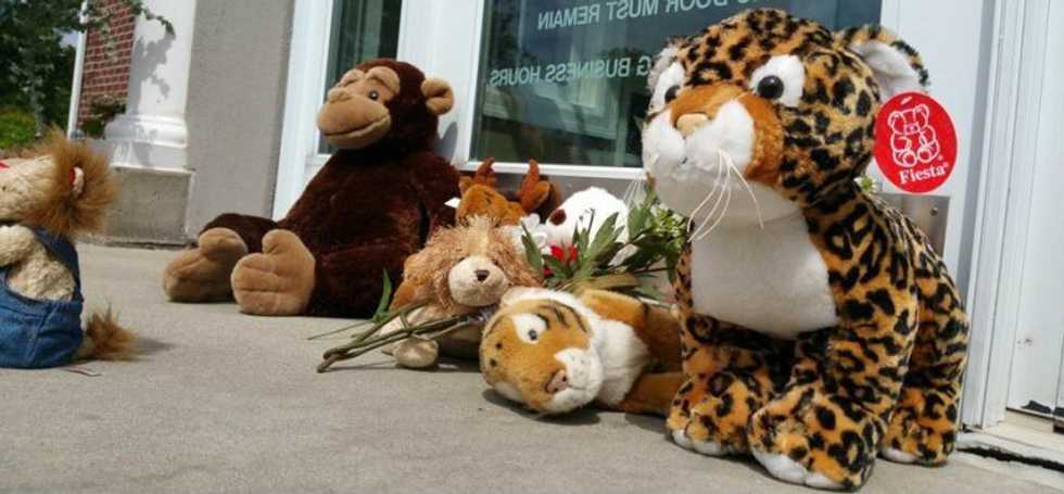 #LionLivesMatter: Lessons To Learn From Cecil's Death