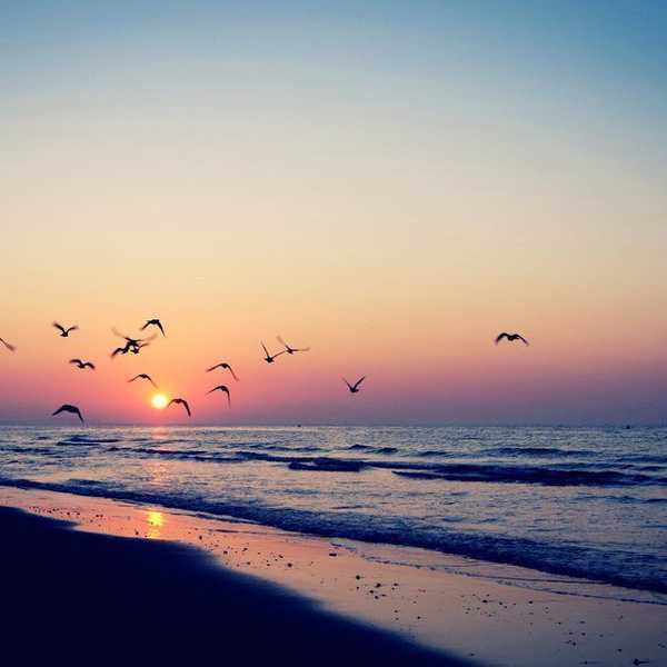 August: The Home-Stretch of Summer