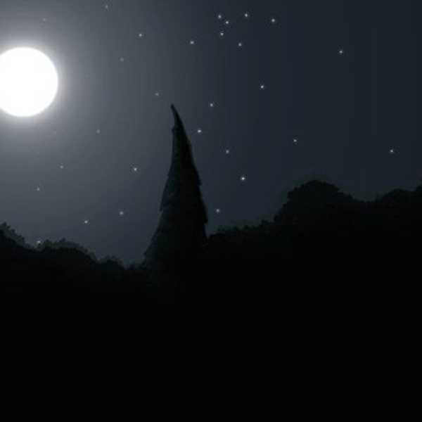 Nocturnal Thoughts