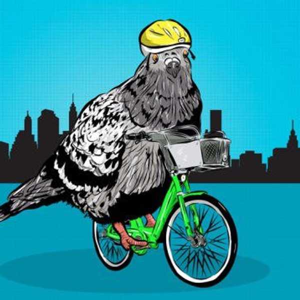 I'm Getting Wheely Tired Of Bicyclists