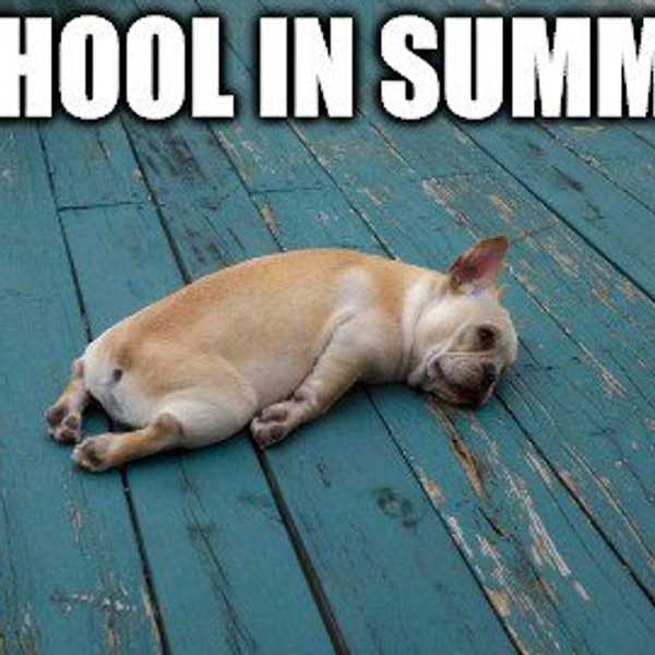 Ten Things Summer Classes Taught Me