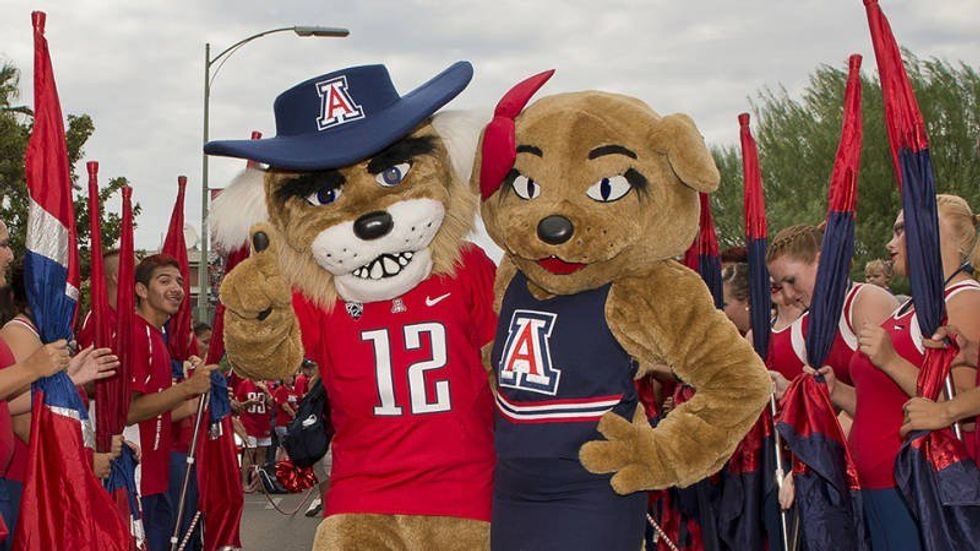 10 Things All Wildcats Can't Wait For
