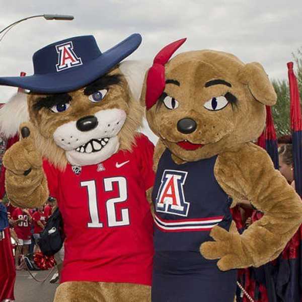 10 Things All Wildcats Can't Wait For