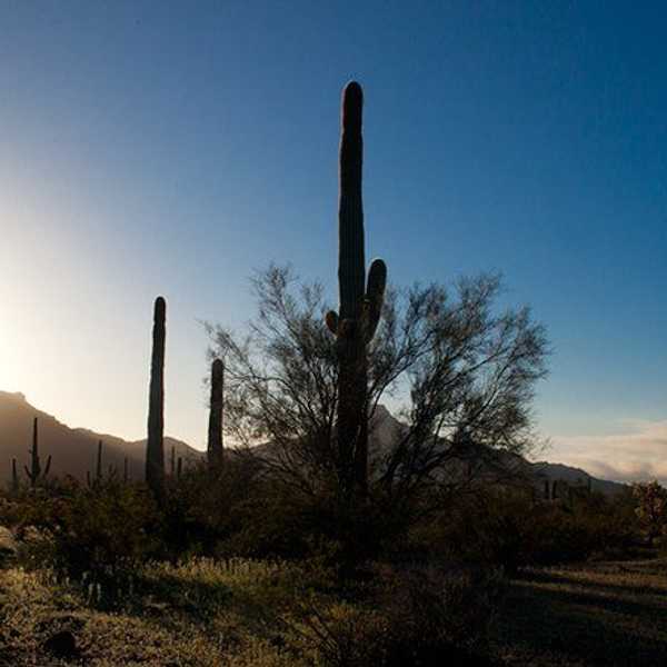 10 Reasons Why You Must Travel To Mexico