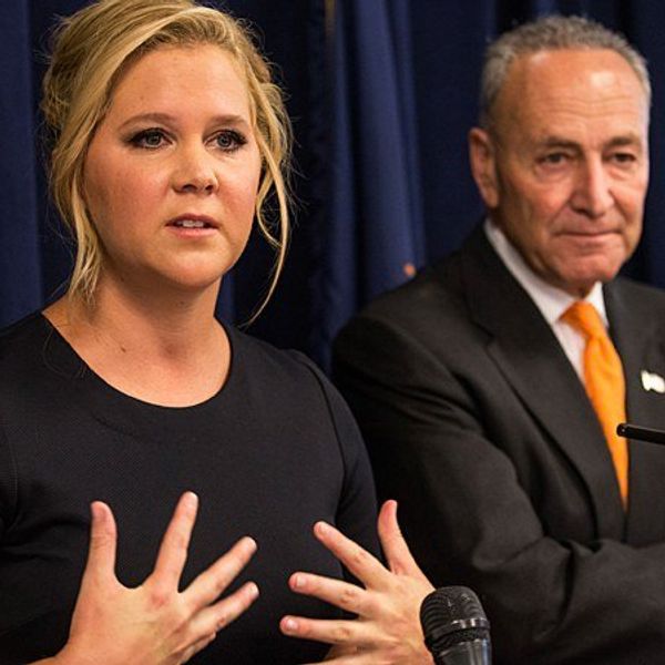 Amy Schumer Speaks Out On Gun Control