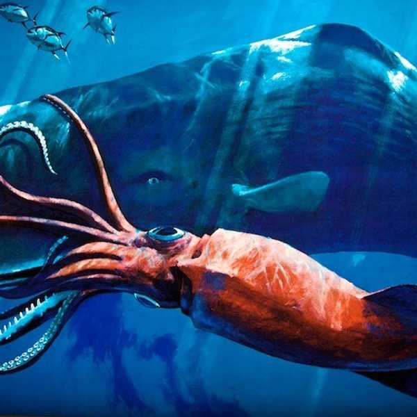Why Giant Squid Are My Favorite Topic Of Conversation