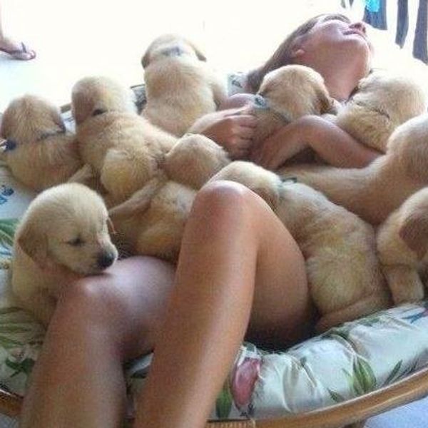 20 Signs That You're Obsessed With Dogs