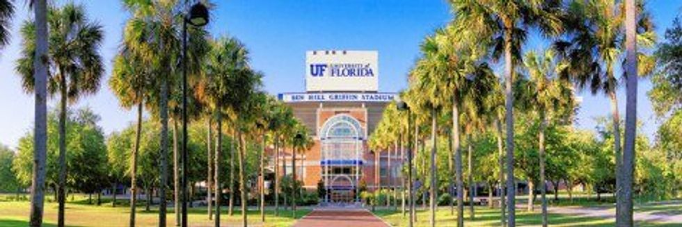 A Letter To The Incoming Baby Gators