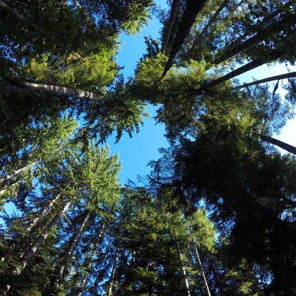 2 Girls, 1 GoPro, And A Grand Realization