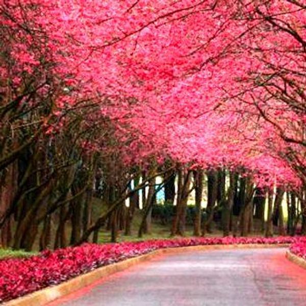 Why Having A Five-Year Plan Is Overrated