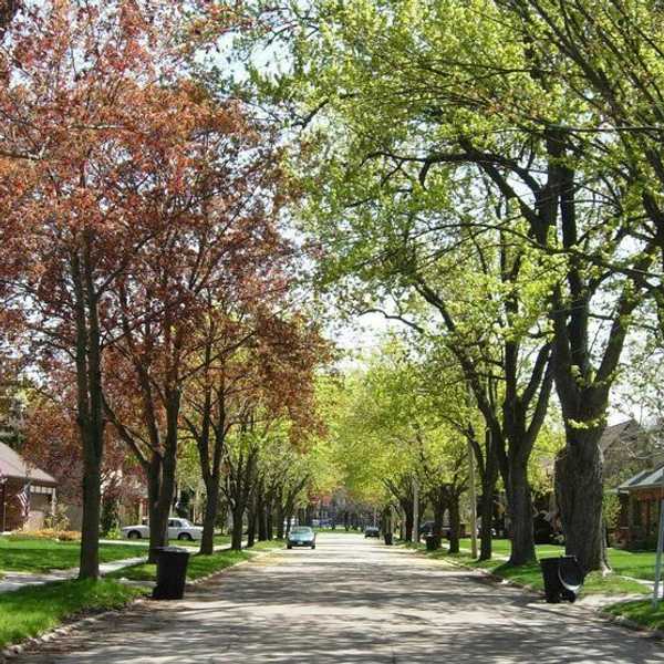 An Open Letter To My Hometown