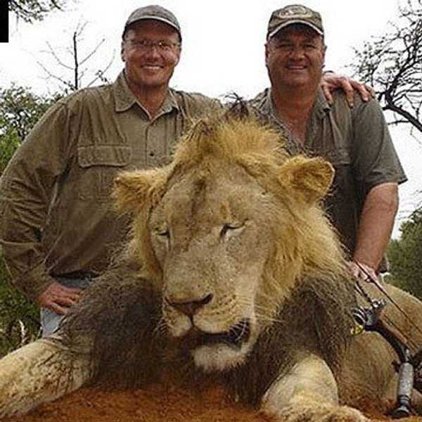 Let Cecil's Death Spur Action On Other Major Injustices In The Region