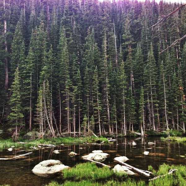 Why Being A Summer Camp Counselor Is The Best Job Ever