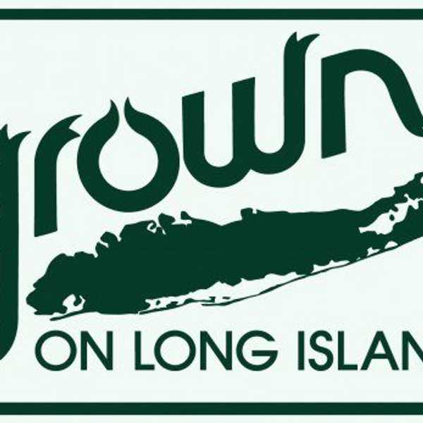 11 Reasons Why Growing Up On Long Island Is The Best