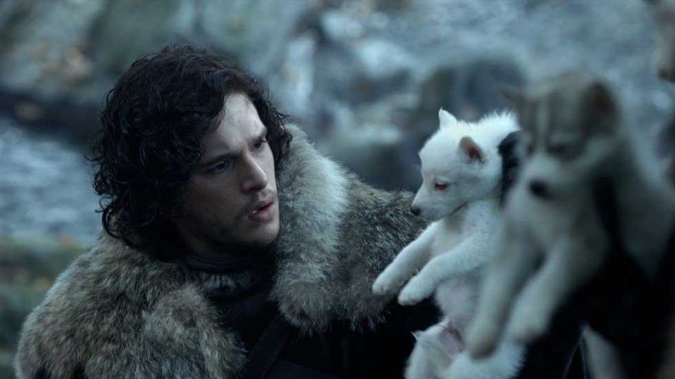 Why Does The Dog Have To Die?