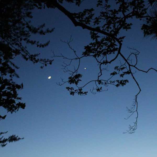 Horribly Beautiful World