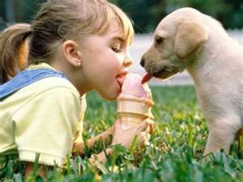 Why Your Pet Is Your BFF When Home From College