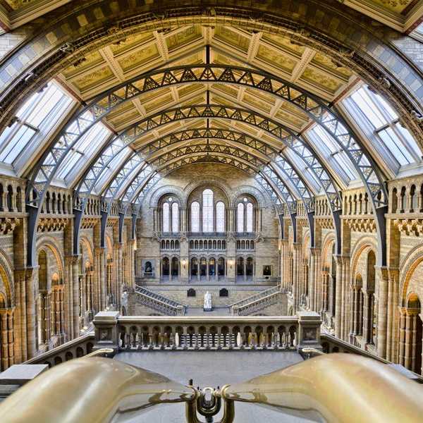 Why History Matters