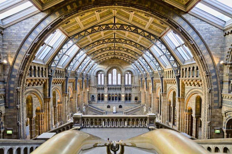 Why History Matters